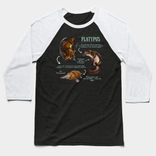 Animal Facts - Platypus Baseball T-Shirt